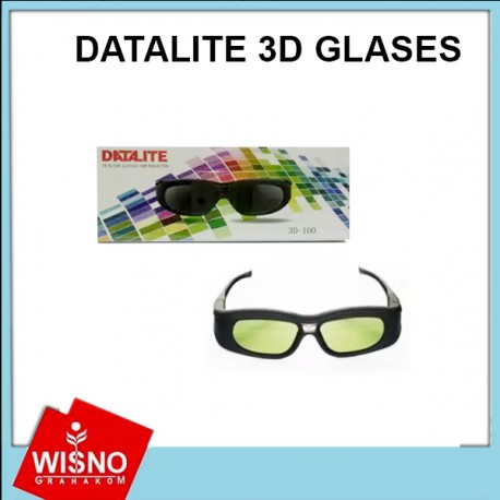 DATALITE 3D GLASES